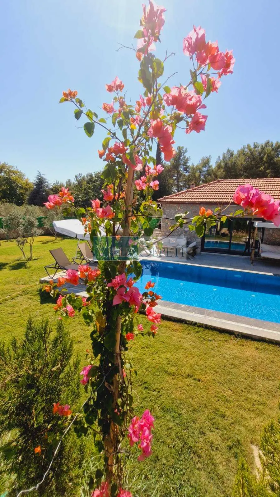 Villa Safa Bahçesi 4
