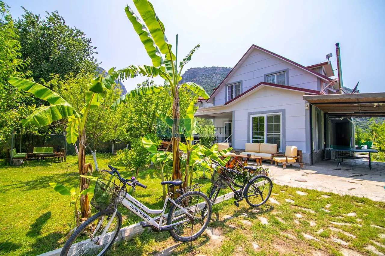 Villa Dream Dalyan 13
