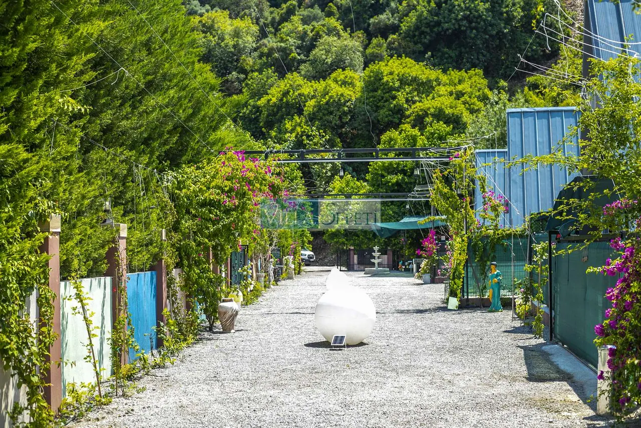 Villa Safira 2 17