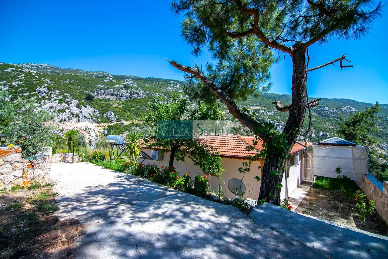 Villa Molla 13