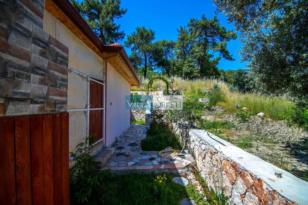 Villa Molla 14